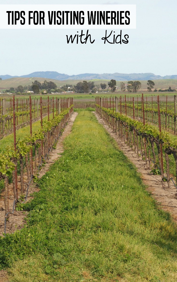 Tips for Visiting Wineries with Kids from Merlot Mommy and the Vacation Mavens