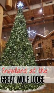 Snowland at the Great Wolf Lodge
