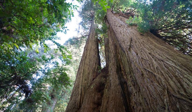 off the beaten path in California