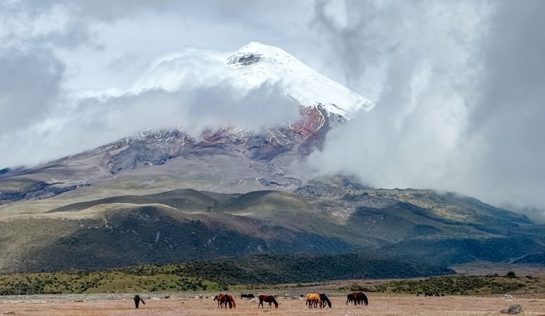 Ecuador Travel Tips & Itinerary
